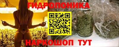 марки lsd Бийск